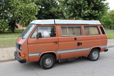 my_new_westy.jpg