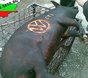 Потребителски аватар