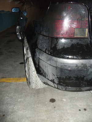 DSCF2220.JPG
