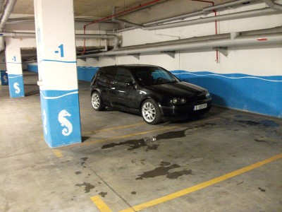 DSCF2229.JPG