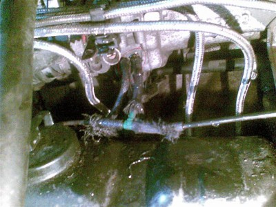 ьььь (Custom).JPG