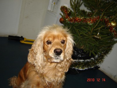 Picture 810a.jpg