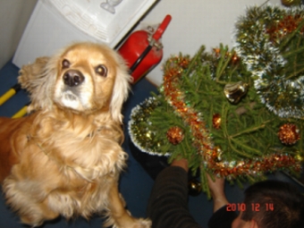 Picture 814a.jpg