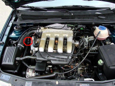 ABF.JPG