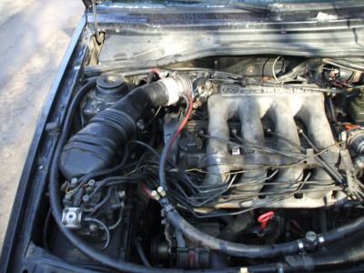 DSCF2440.JPG