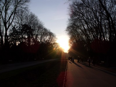 DSCF2062.jpg