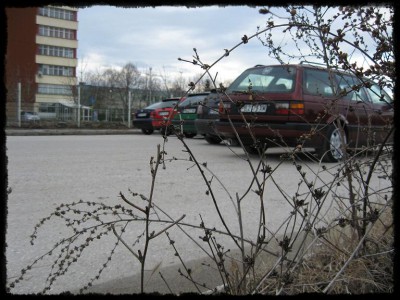 IMG_0085.jpg