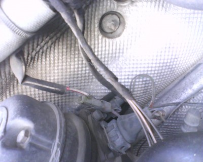 IMG0045A.jpg