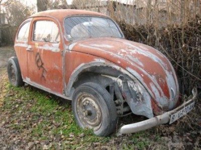 beetle1.JPG