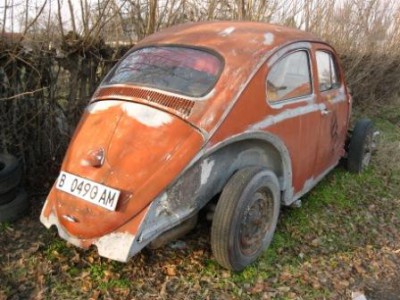 beetle2.JPG