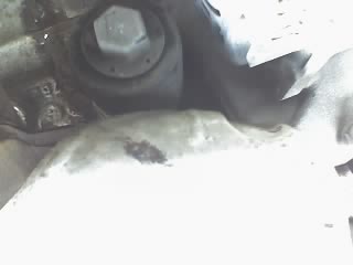 26-01-11_1437.jpg