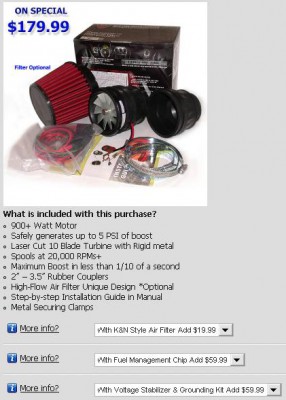 Beetle_Turbo.JPG