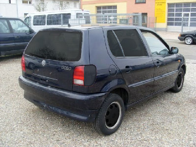 nekvo polo2.jpg