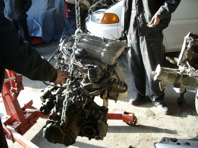 ALIM2605.JPG