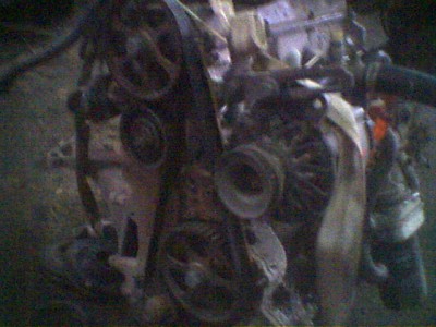 B1M91479.jpg