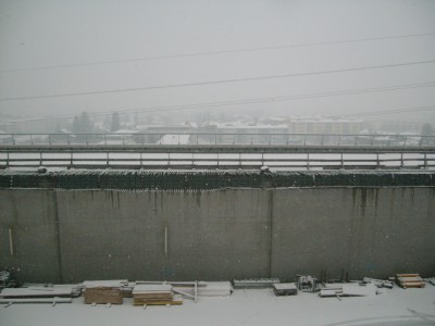 ALIM0144.JPG