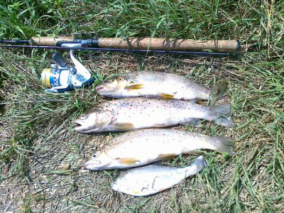 14082010006.jpg