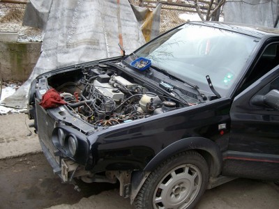ALIM2621.JPG