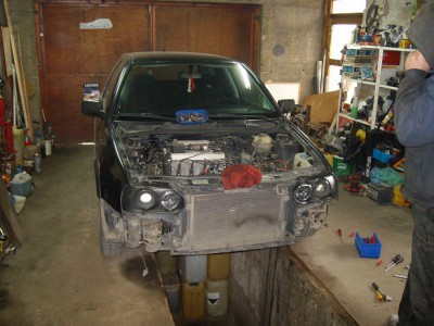 ALIM2622.JPG