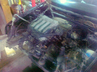 08032011190.jpg
