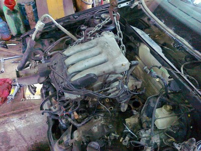 08032011191.jpg
