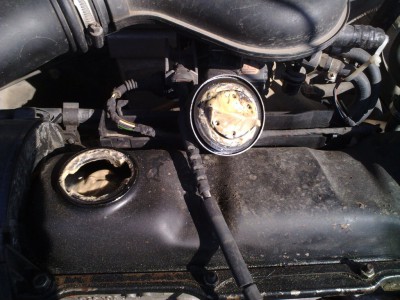 13032011317 - Copy.jpg