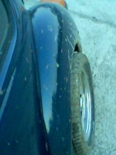 IMG0153A.jpg