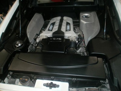 P3200005.JPG