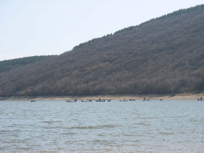 IMG_8018.jpg