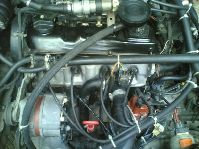 20042009(002).JPG