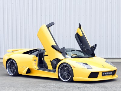lamborghini-murcielago-roadster-wallpaper-yvt2.jpg