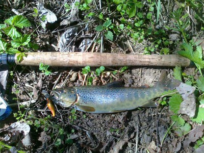 25042011035.jpg
