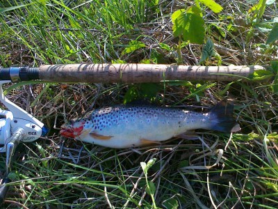 25042011036.jpg