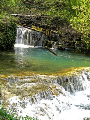 DSCN6844a.jpg