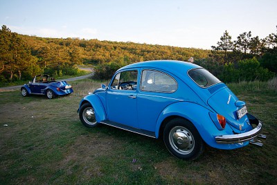 _MG_0324.jpg