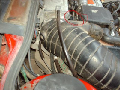 ТПС-успокоител белязан.JPG