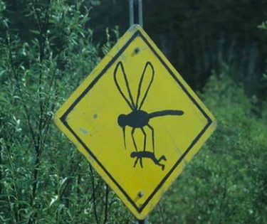 roadsign02.png