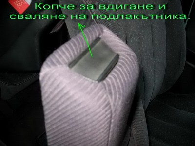 IMG_5534.jpg