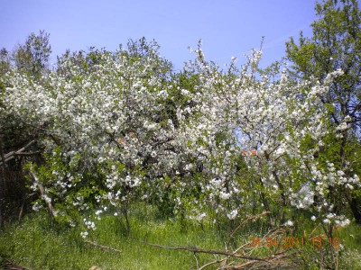 DSCN3726.JPG