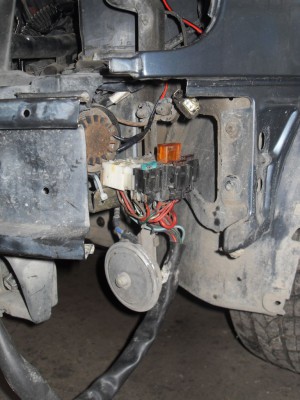 SDC11494.jpg