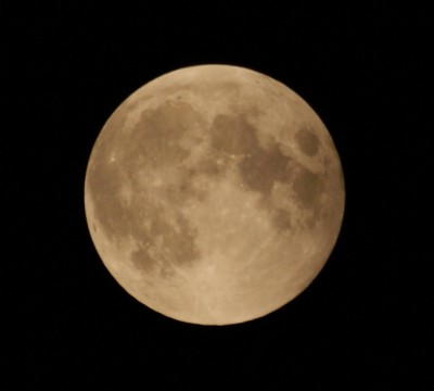 DSC00007.JPG