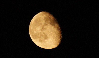DSC00448.JPG