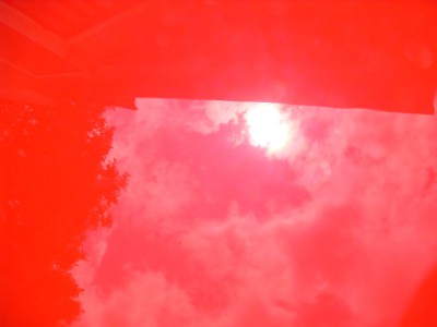 SDC11564.jpg