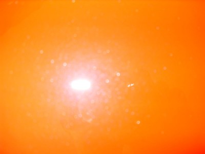 SDC11566.jpg