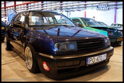 chedder-1.jpg