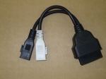 show_image_in_imgtag.php.jpeg