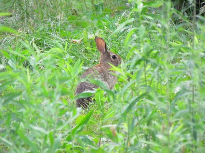 IMG_01791.jpg