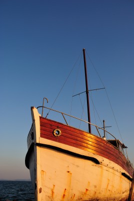 DSC_7147.jpg