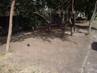 IMGP4553.JPG