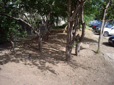 IMGP4554.JPG